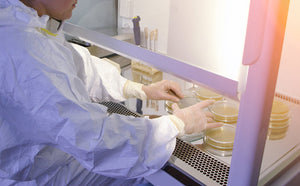 3-Foot Biosafety Cabinets: Compact Safety Solutions for Modern Labs