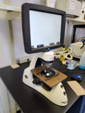 Inverted microscope imaging system | AMG Thermo EVOS XL Core Imaging System (Used) Made in 2012