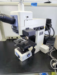 Phase contrast research microscope | Nikon Eclipse E800 (Pre-owned)