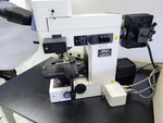 Phase contrast research microscope | Nikon Eclipse E800 (Pre-owned)